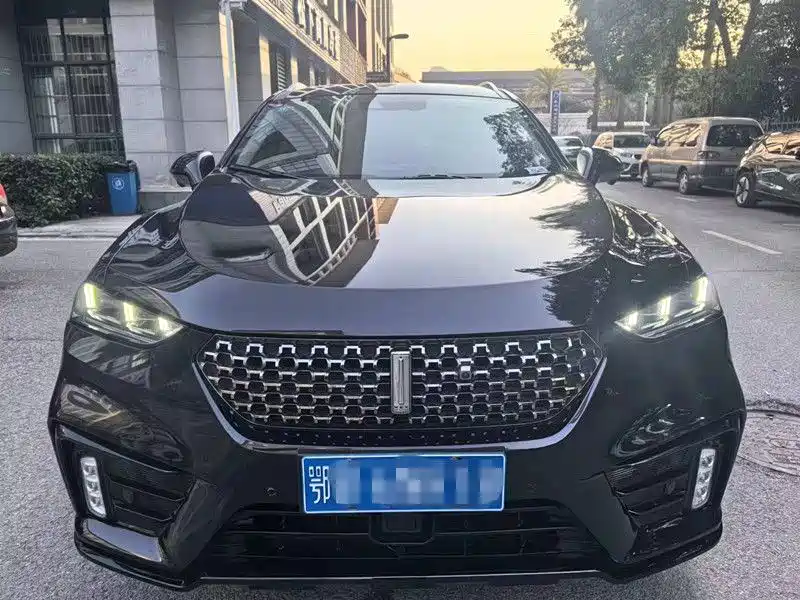 Wey Wey VV7 — миниатюра 3