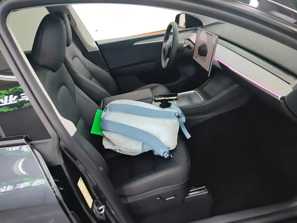 Tesla Model Y — миниатюра 25