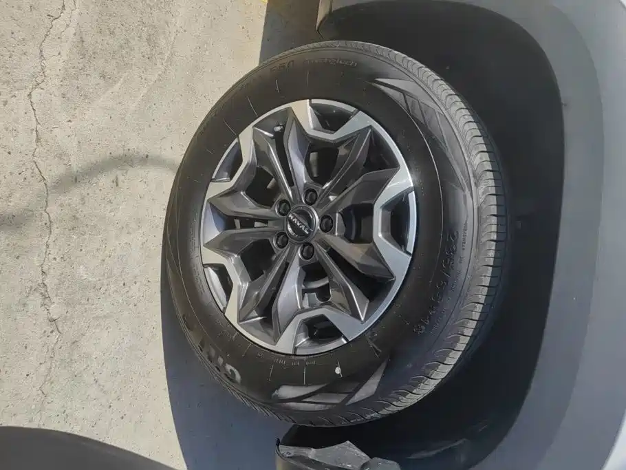 Haval Big Dog — миниатюра 6