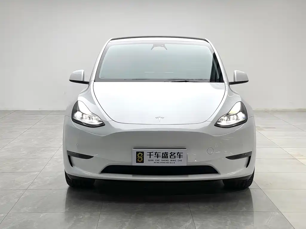 Tesla Model Y — миниатюра 2