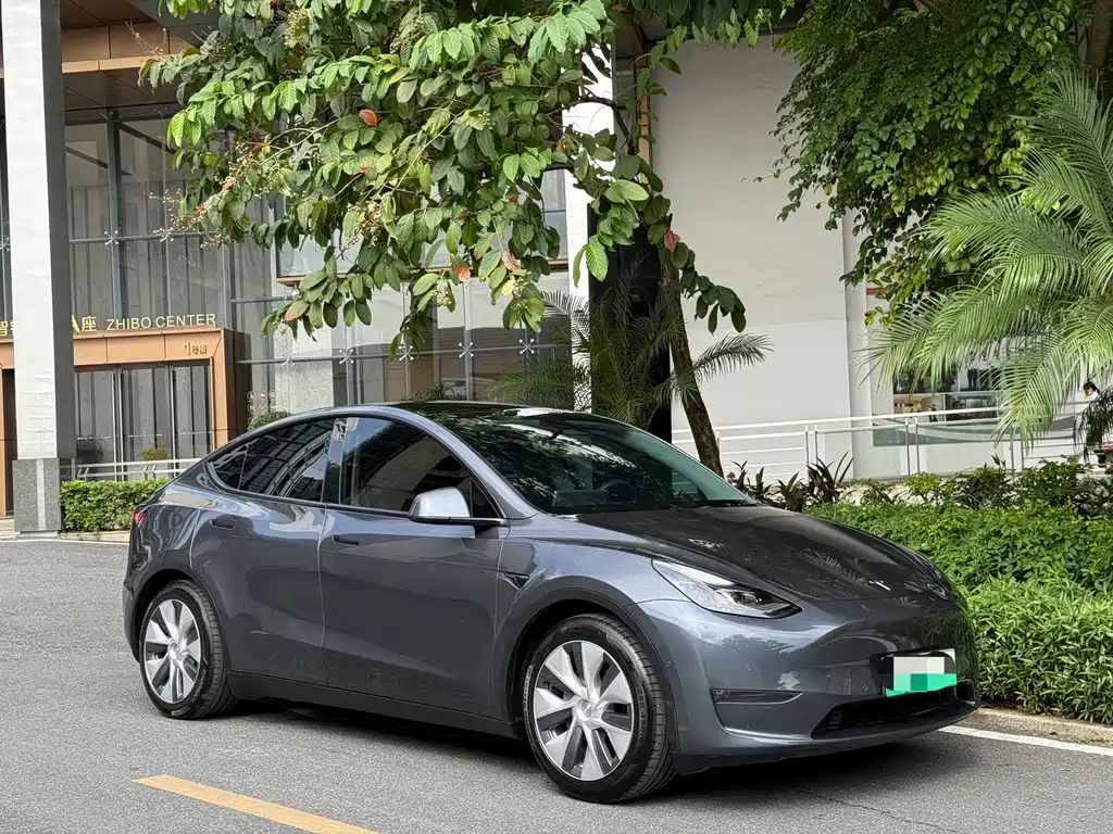 Tesla Model Y — миниатюра 3