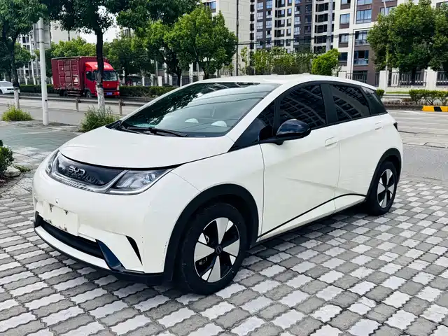 BYD Dolphin