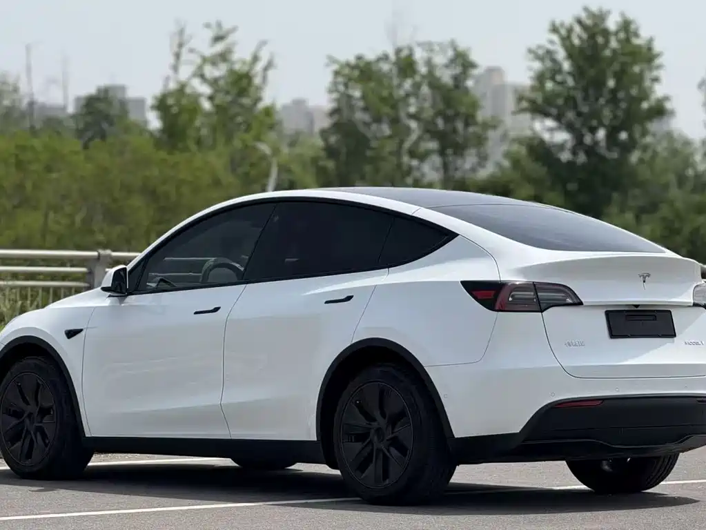 Tesla Model Y — миниатюра 2