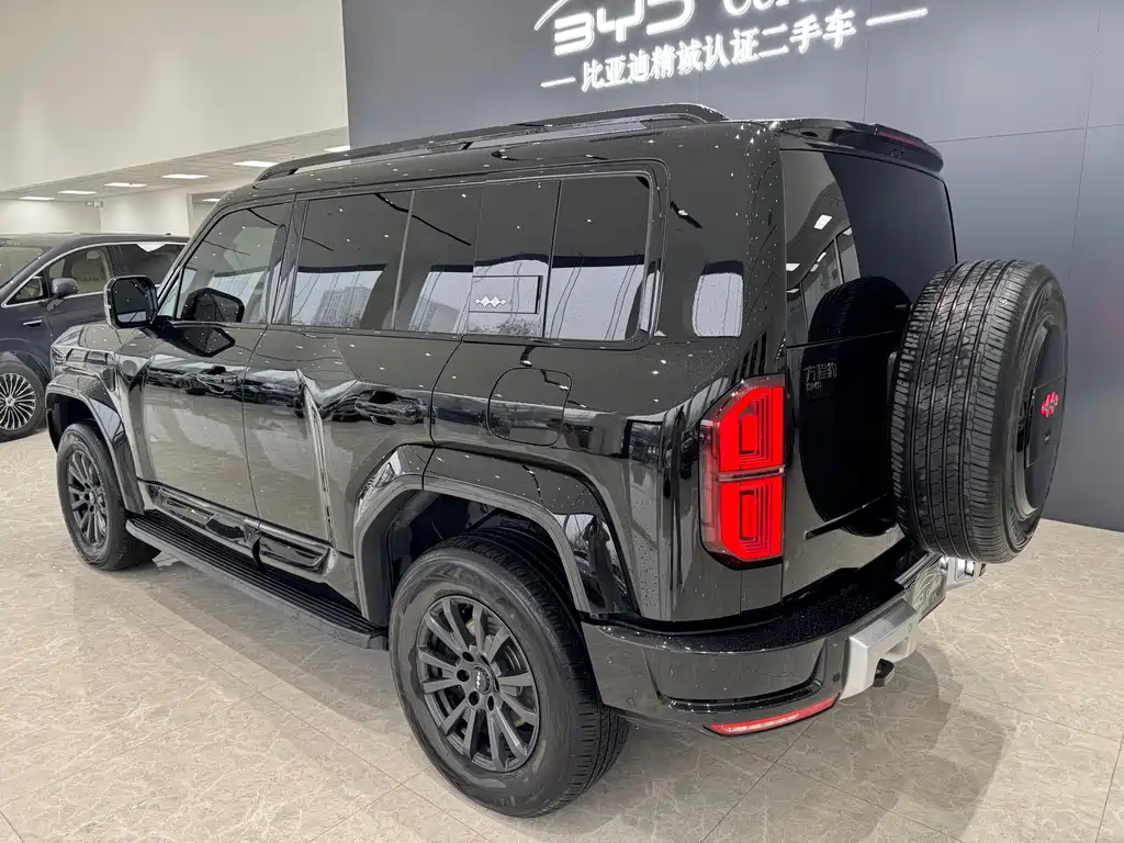 FANG CHENG BAO LEOPARD 5