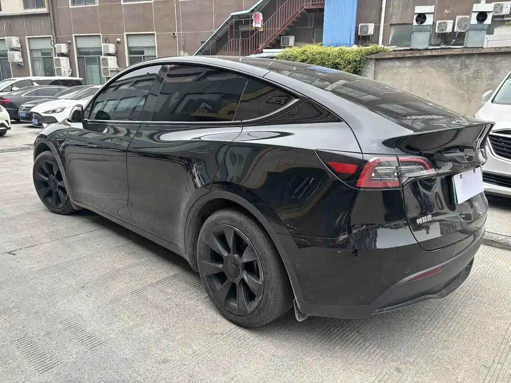 Tesla Model Y — миниатюра 7