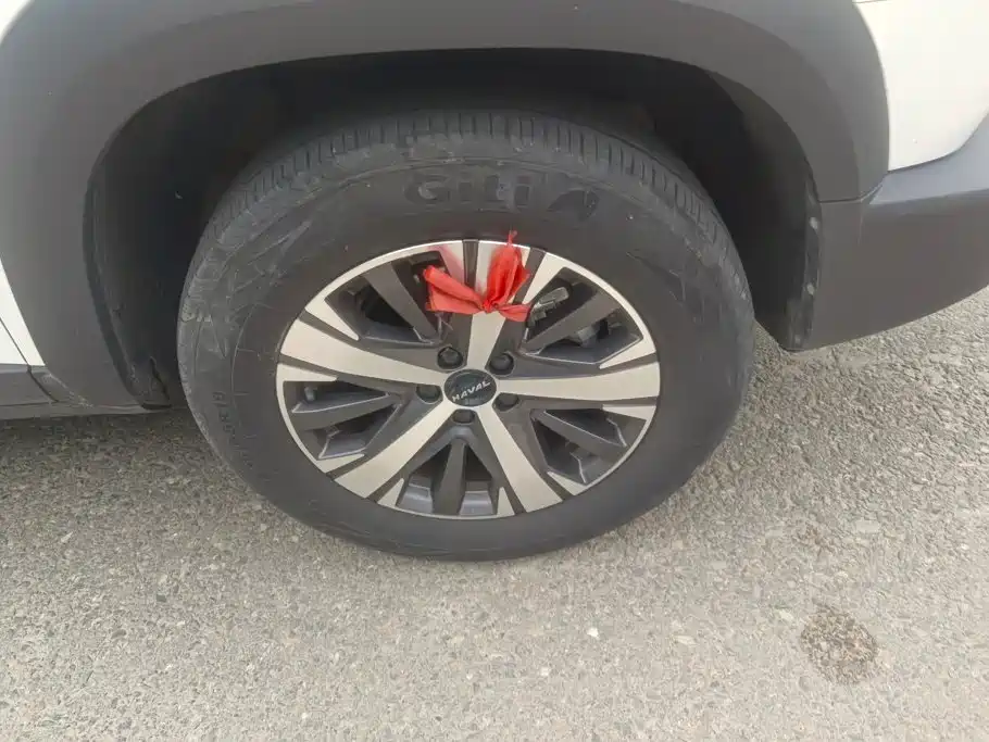 Haval Big Dog — миниатюра 6