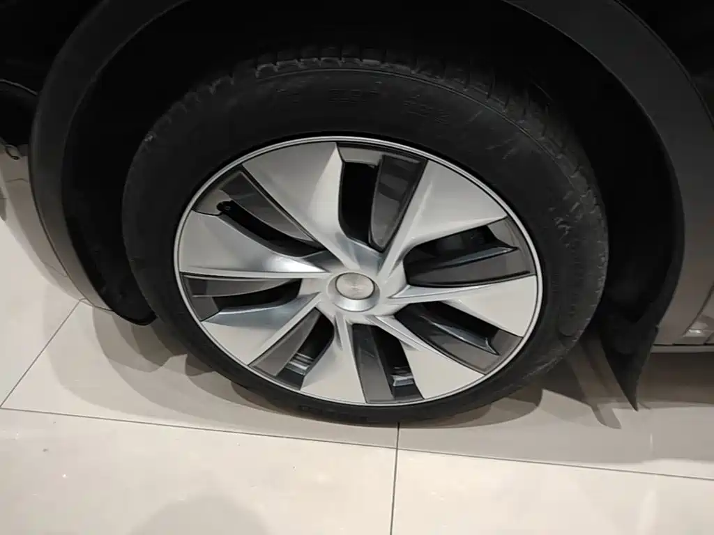 Tesla Model Y — миниатюра 23