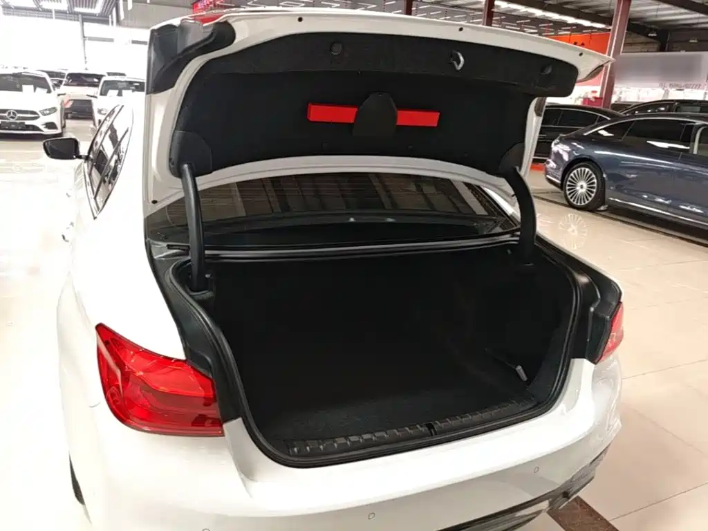 BMW 5 Series — миниатюра 19