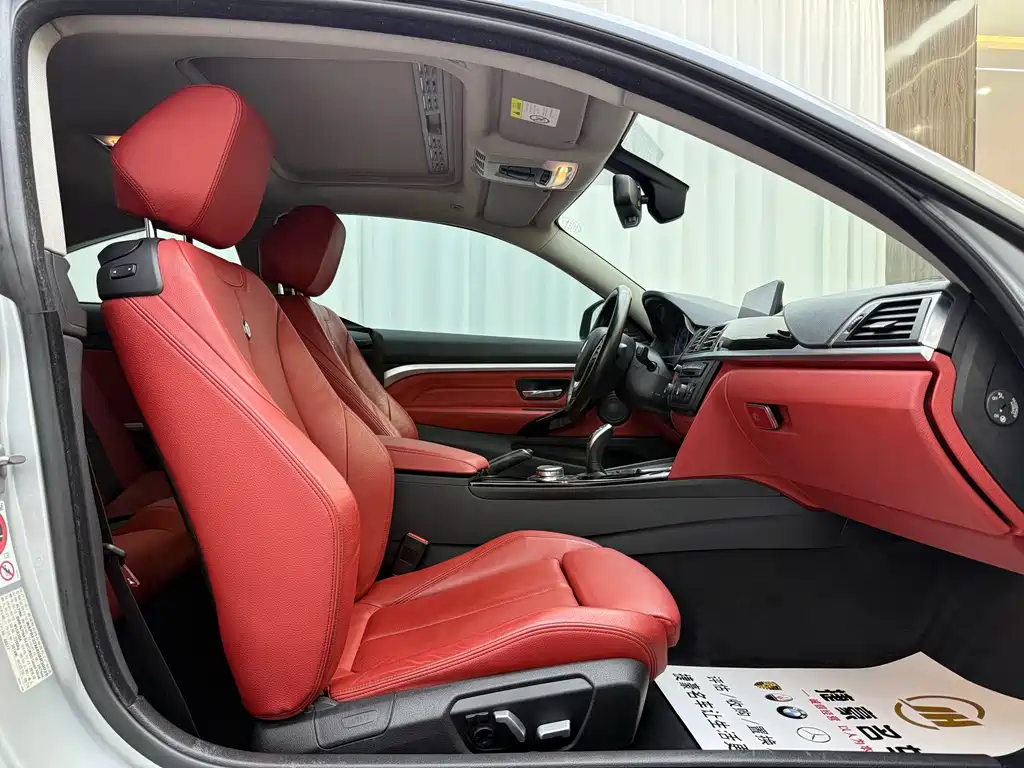 ALPINA ALPINA B4 — миниатюра 9