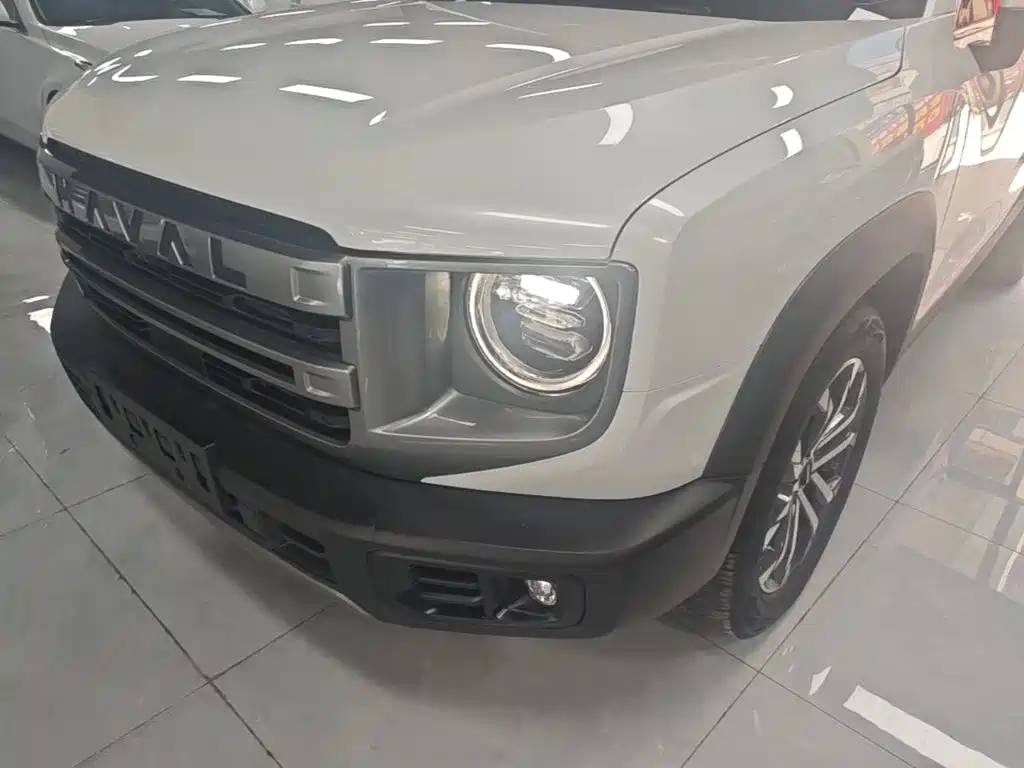 Haval Big Dog — миниатюра 24