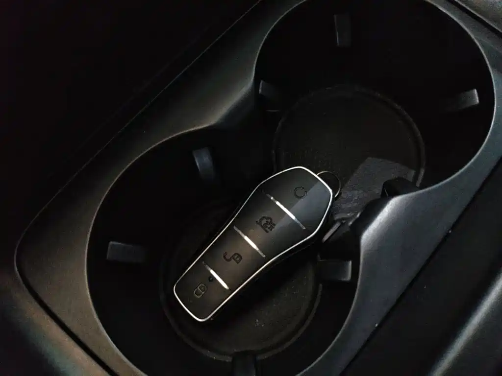 BYD Qin Plus PLUS 2023 Champion DM-i 55KM Lead