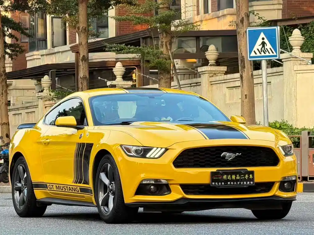 Ford Mustang — миниатюра 3