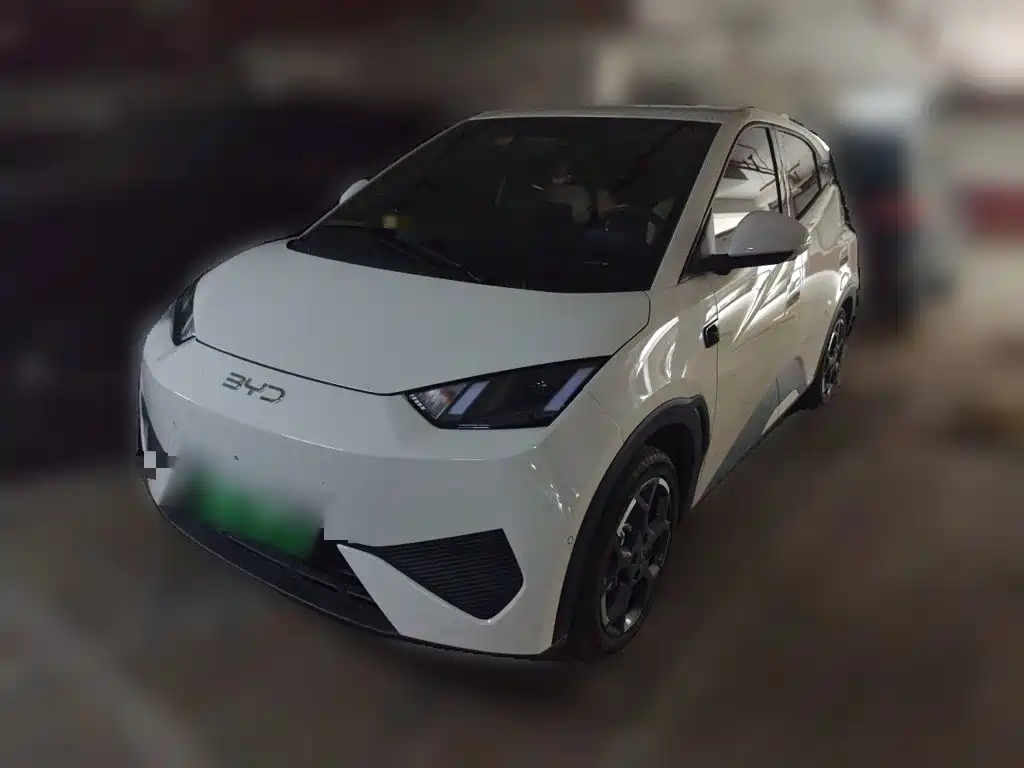 BYD Seagull
