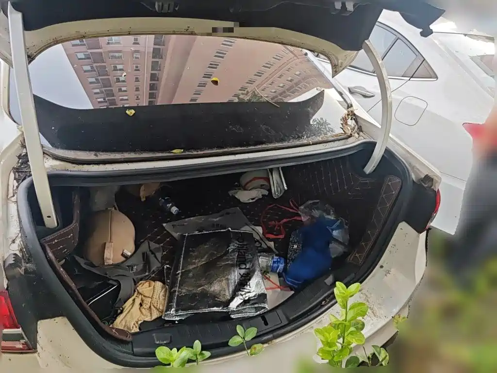 Ford Mondeo — миниатюра 15