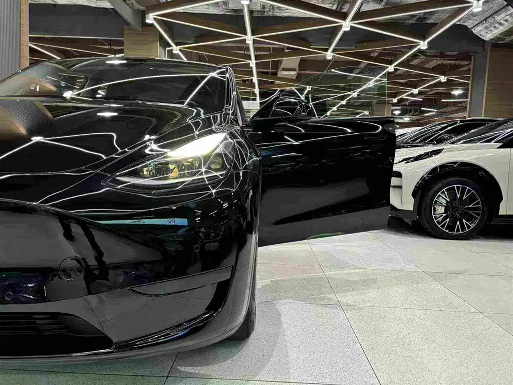 Tesla Model Y — миниатюра 14