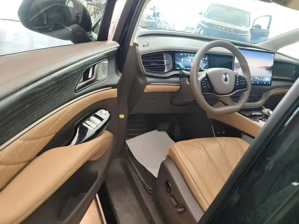Denza Denza D9 — миниатюра 16