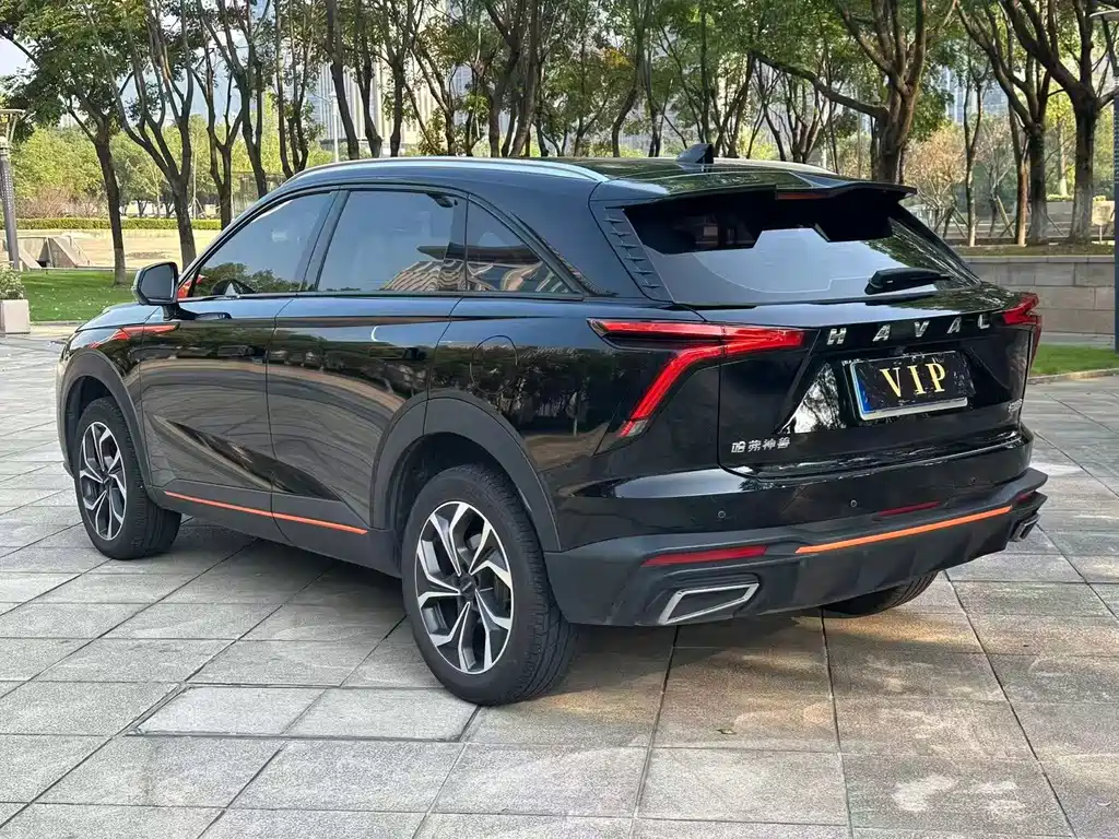 Haval Shenshou — миниатюра 7
