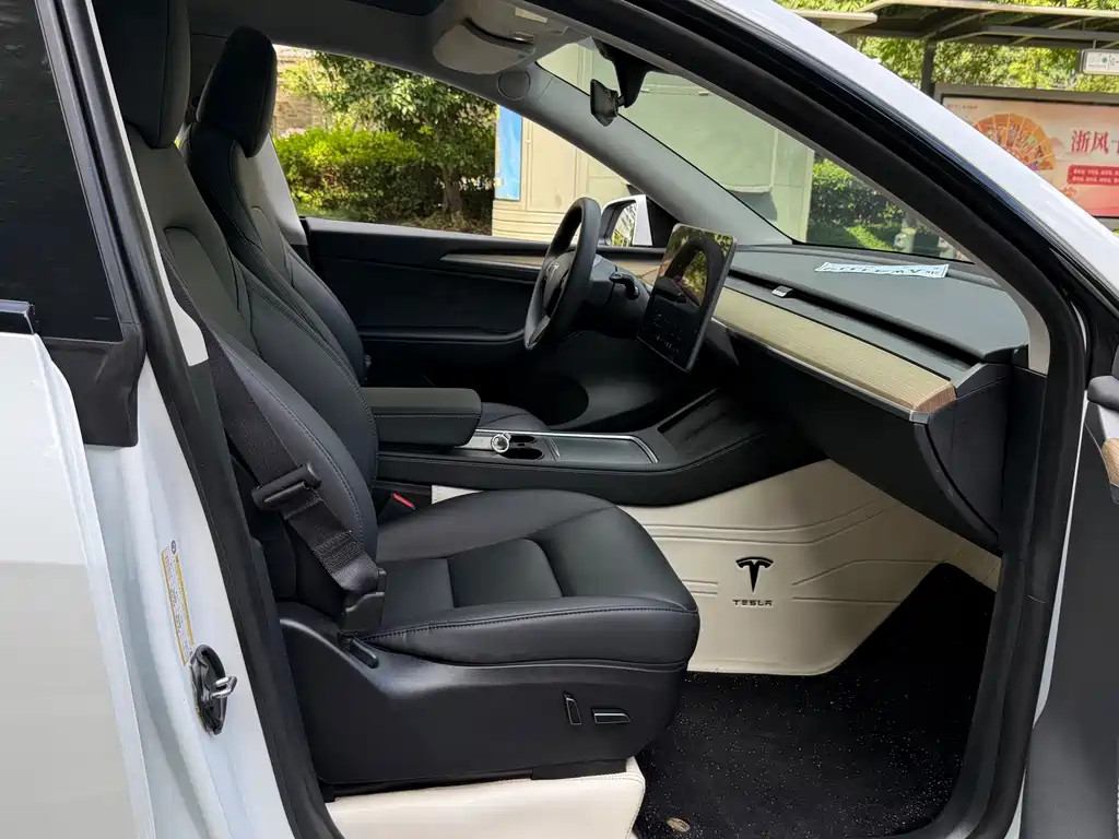 Tesla Model Y — миниатюра 8