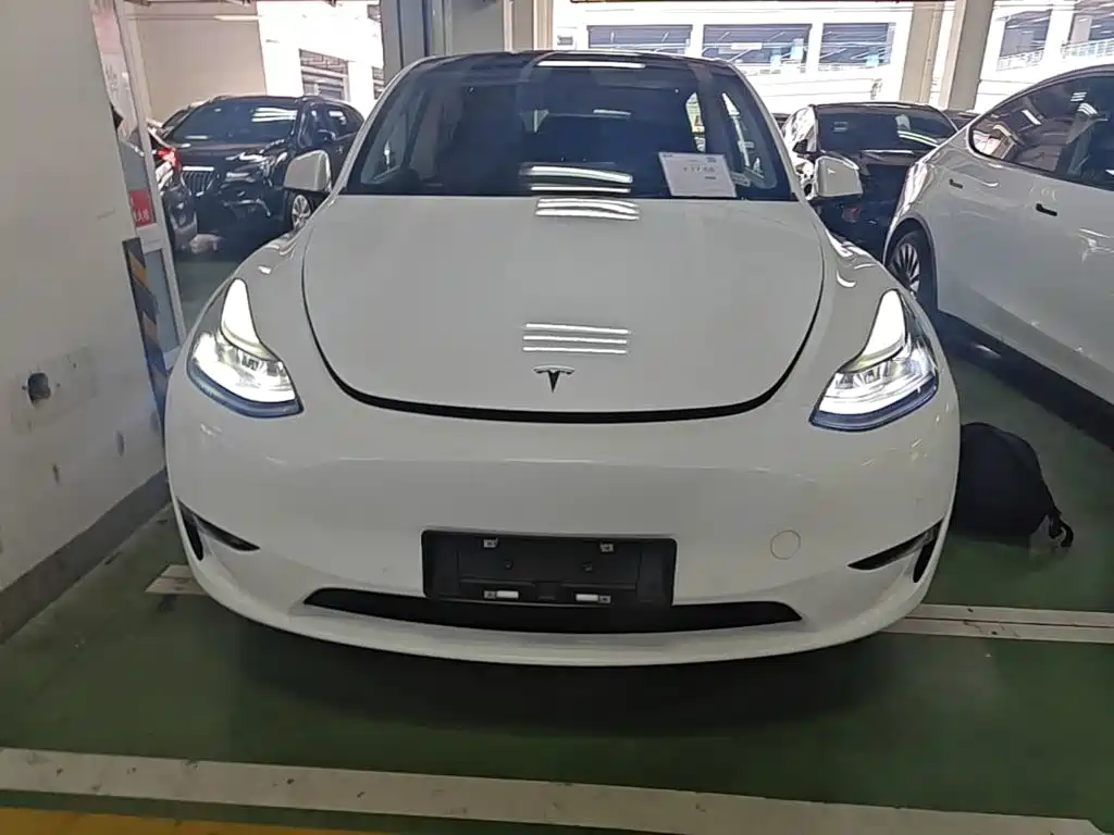 Tesla Model Y — миниатюра 3