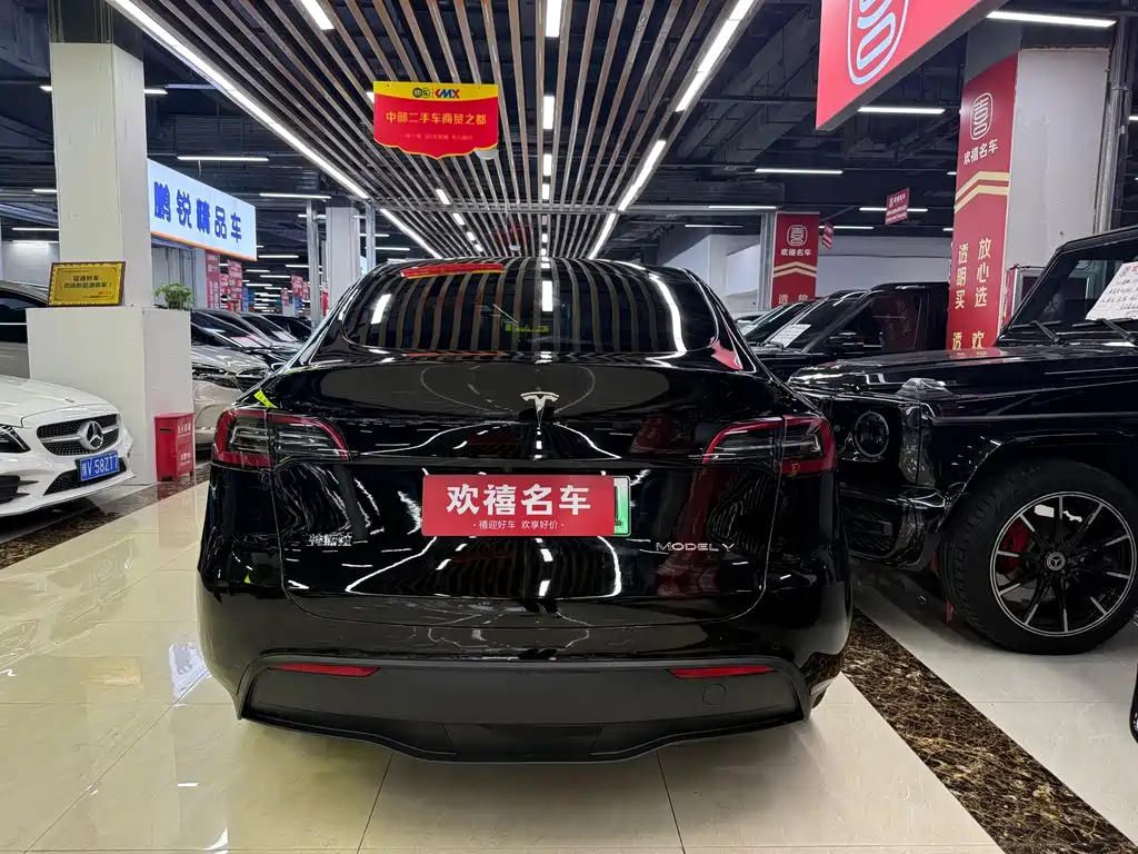 Tesla Model Y — миниатюра 10