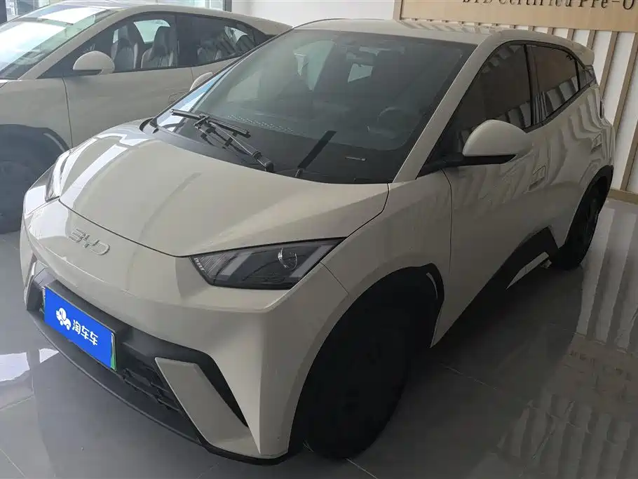 BYD Seagull 2024 Glory Edition 305km Vitality Edition