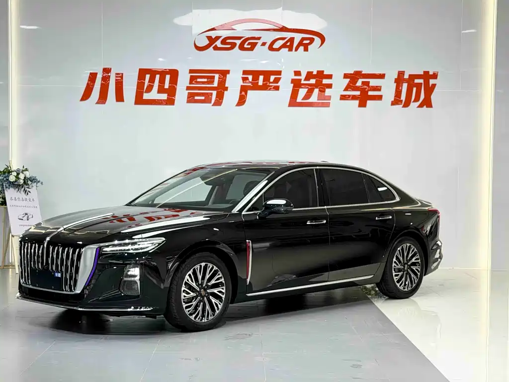 Hongqi Hongqi H5 2024