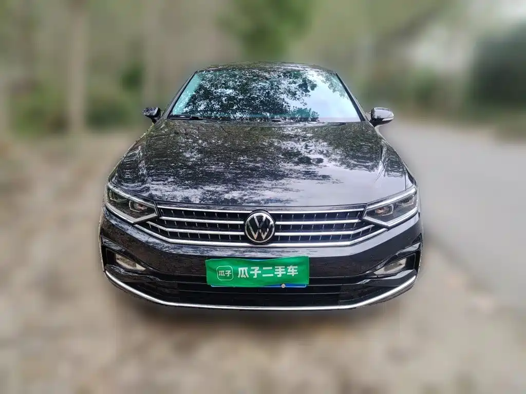 Volkswagen Magotan — миниатюра 2