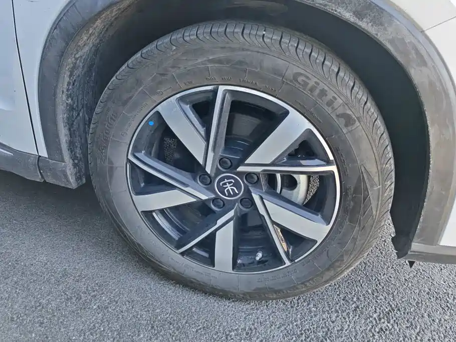 BYD Pro New Energy — миниатюра 6