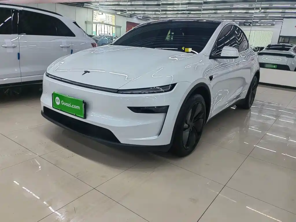 Tesla Model Y — миниатюра 2