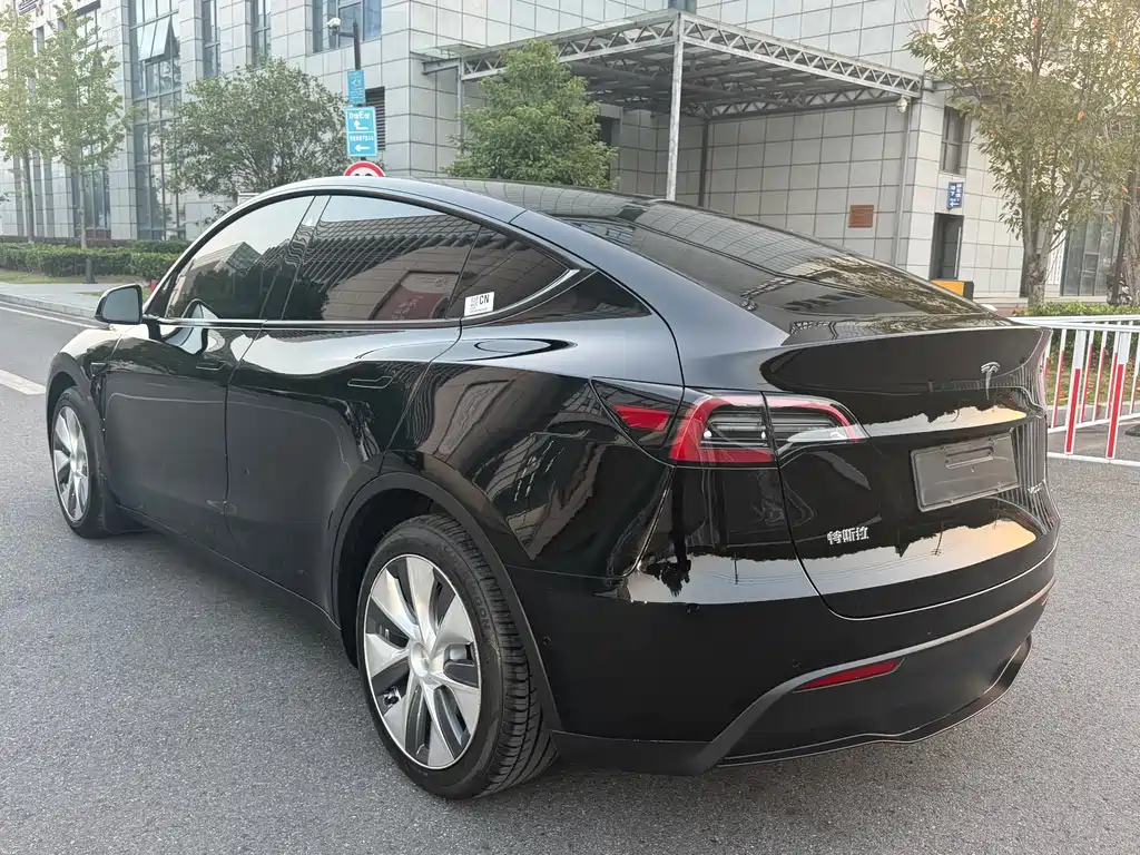 Tesla Model Y — миниатюра 17