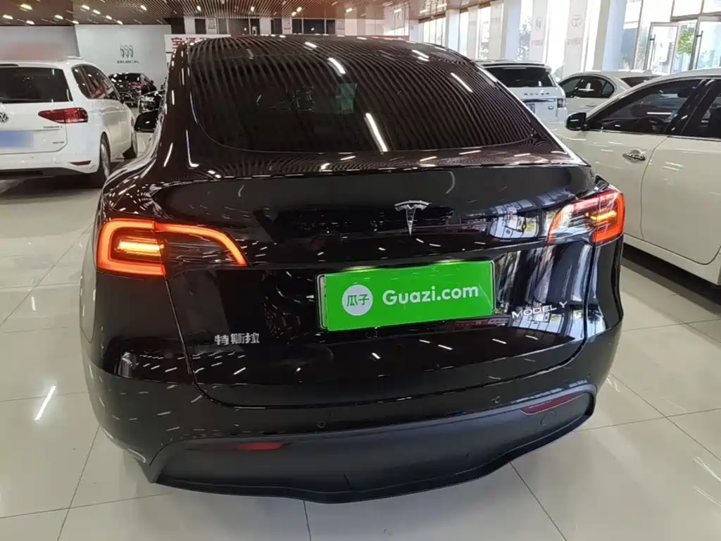 Tesla Model Y — миниатюра 6
