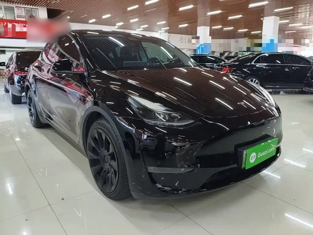 Tesla Model Y — миниатюра 4
