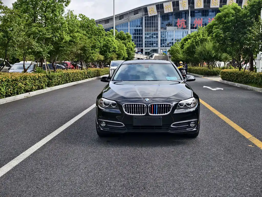 BMW 5 Series New Energy — миниатюра 2