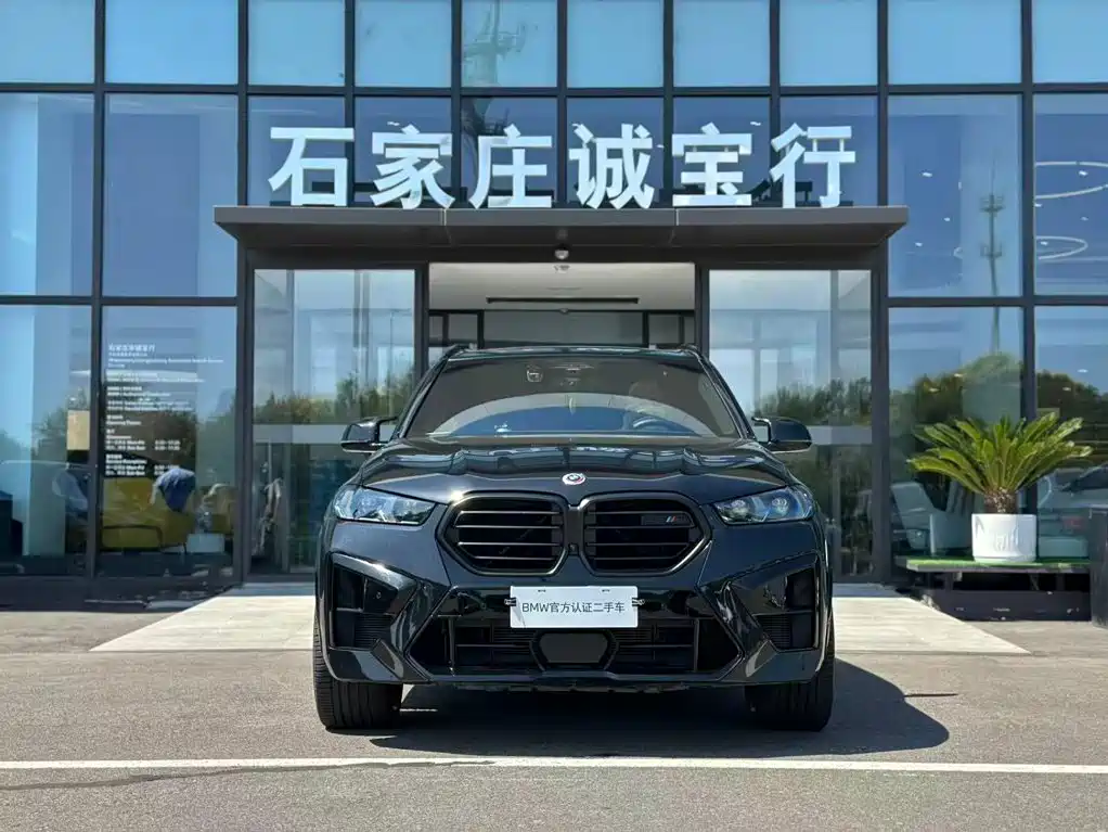 BMW X5 — миниатюра 17