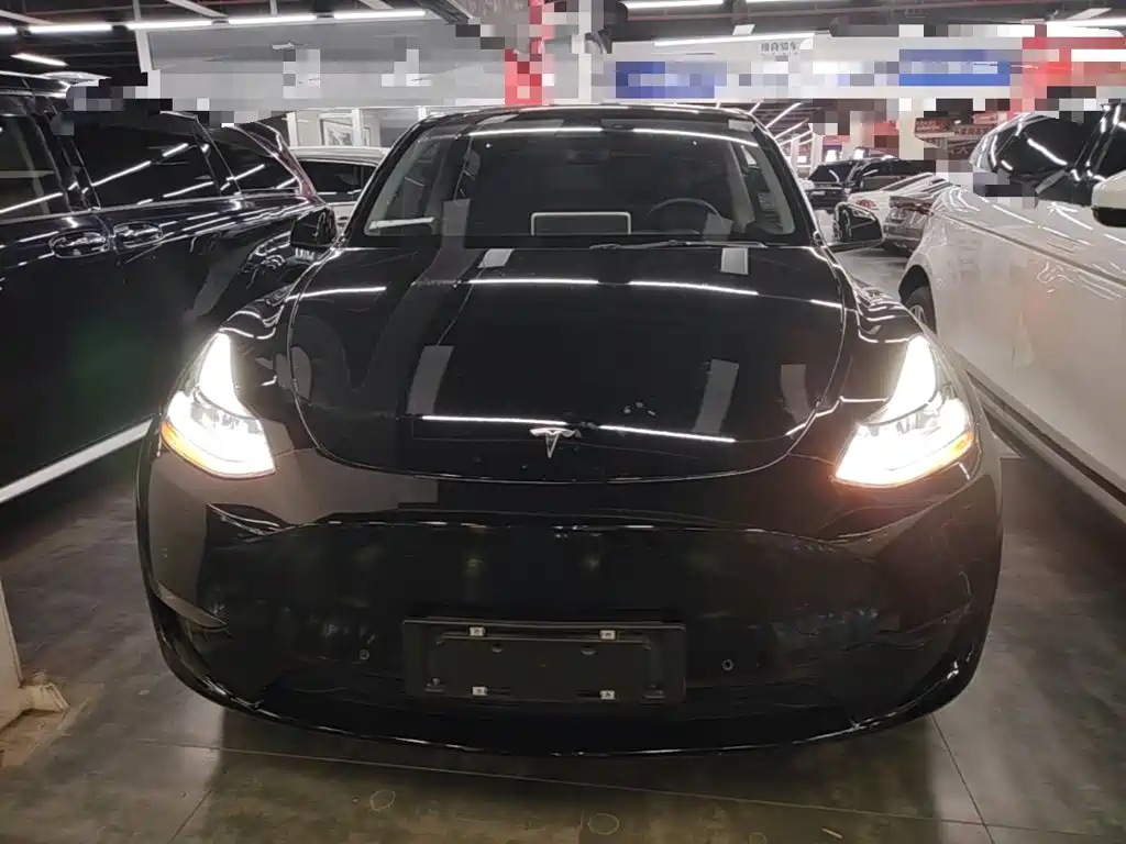 Tesla Model Y — миниатюра 3