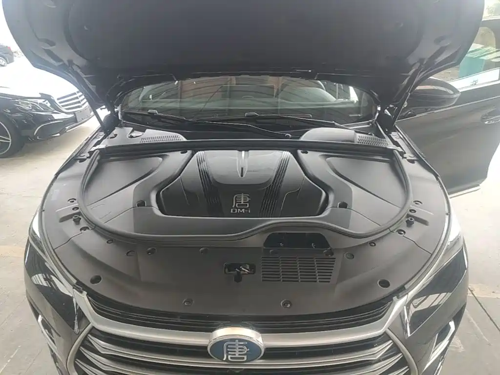 BYD Tang New Energy — миниатюра 20