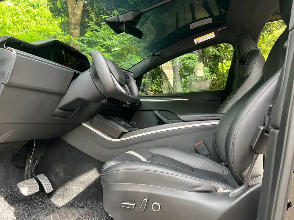 Tesla Model X — миниатюра 7