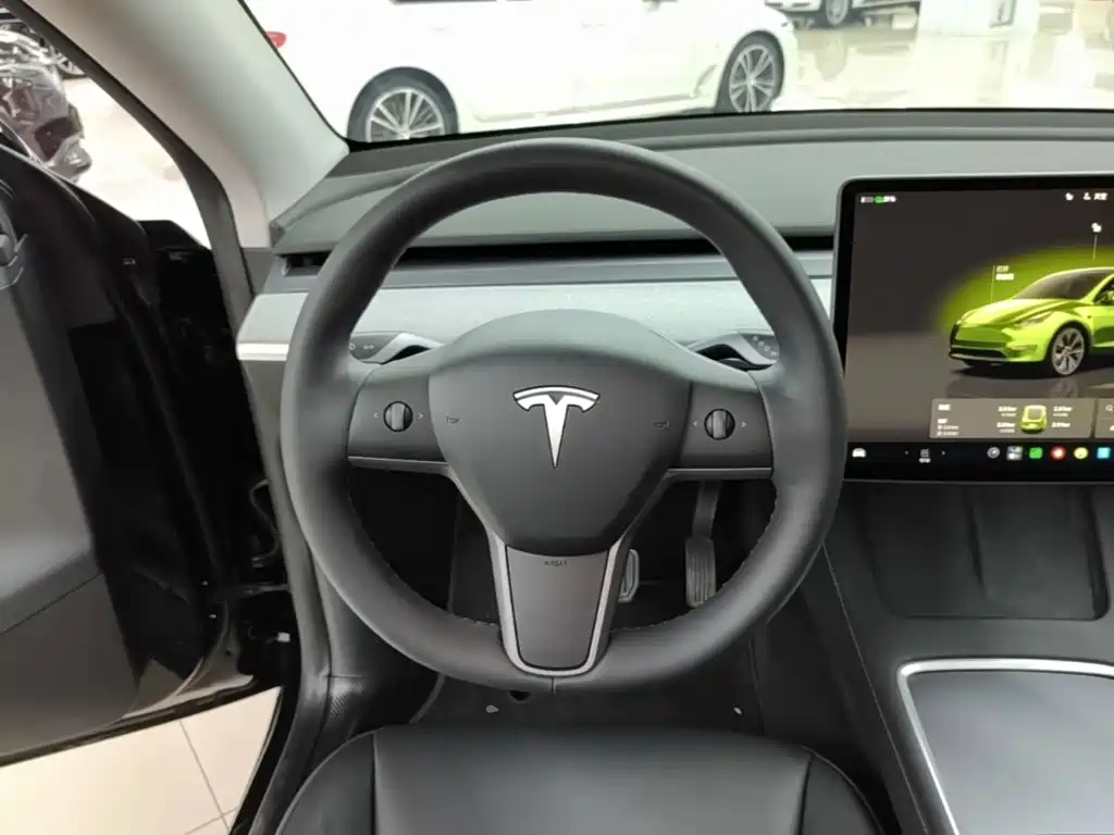 Tesla Model Y — миниатюра 11
