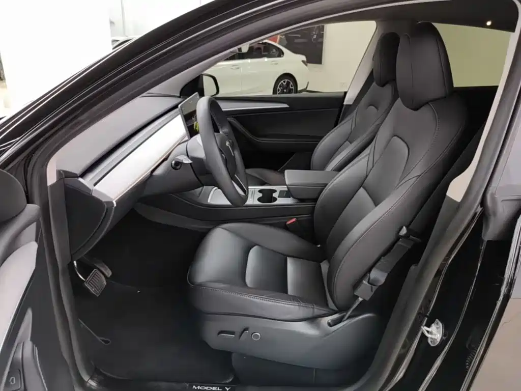Tesla Model Y — миниатюра 15