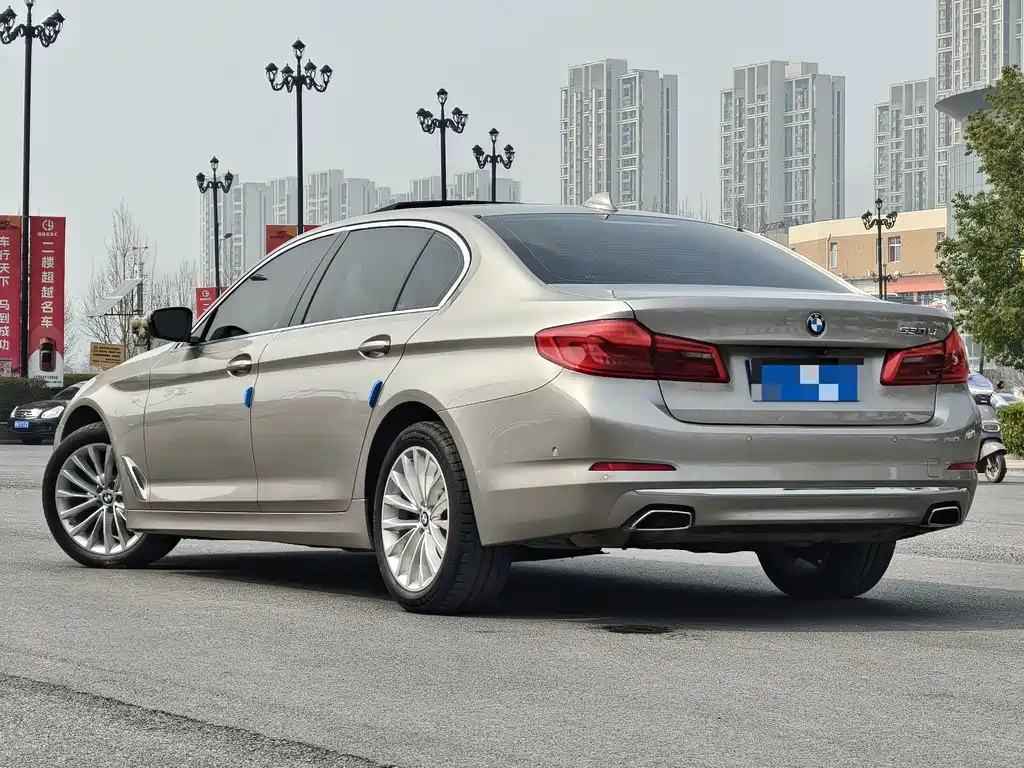 BMW 5 Series 5 2019 530Li Premium Luxury