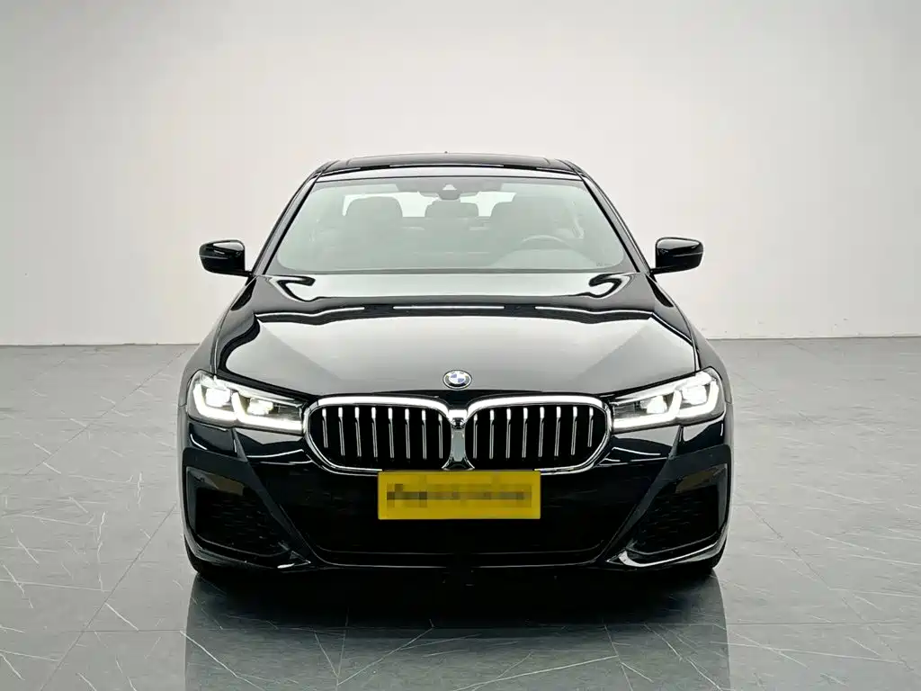 BMW 5 Series — миниатюра 2
