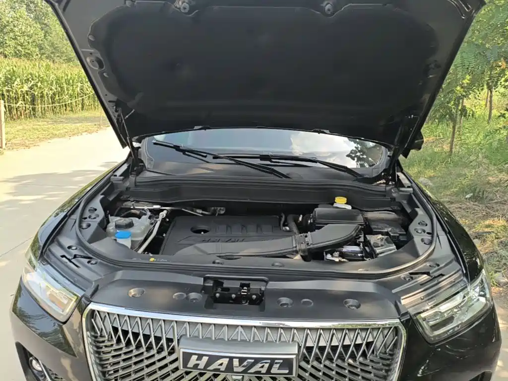 Haval H6 — миниатюра 20