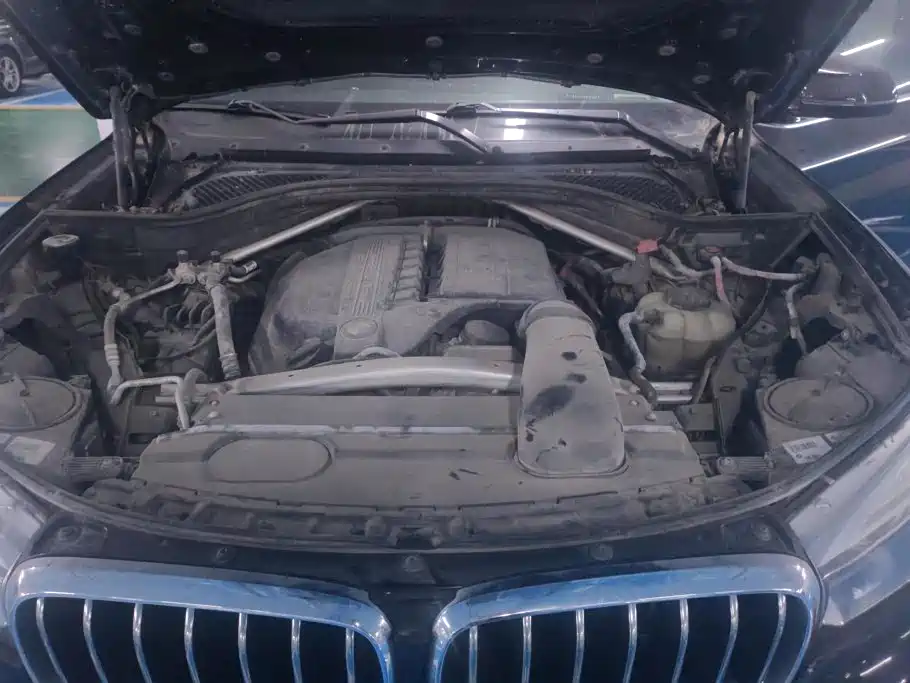 BMW X5 (Import) — миниатюра 10