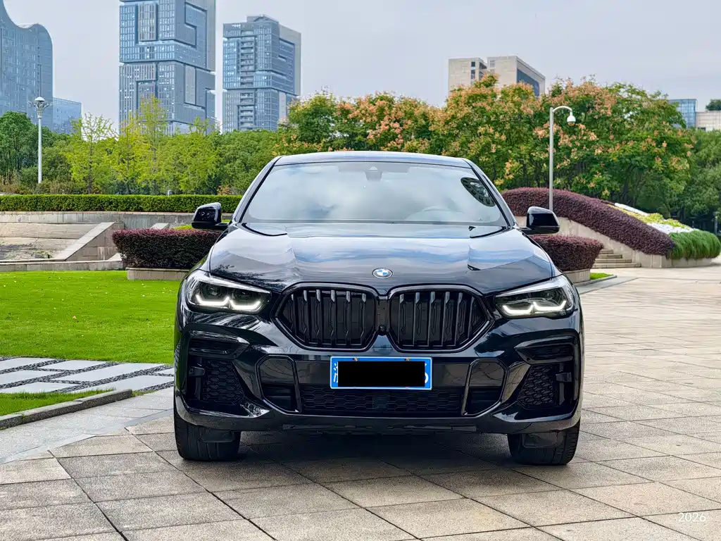 BMW X6 — миниатюра 2
