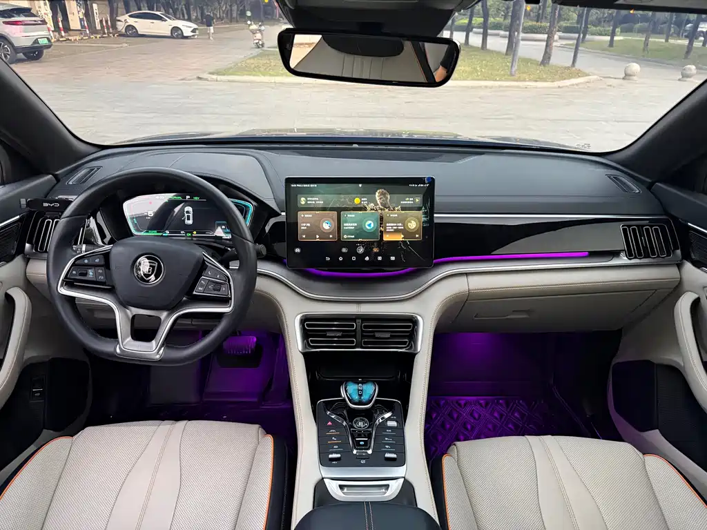 BYD PLUS New Energy — миниатюра 14