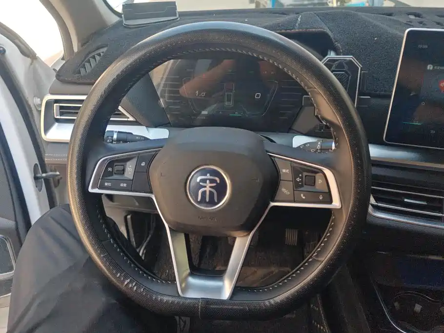 BYD Pro — миниатюра 15