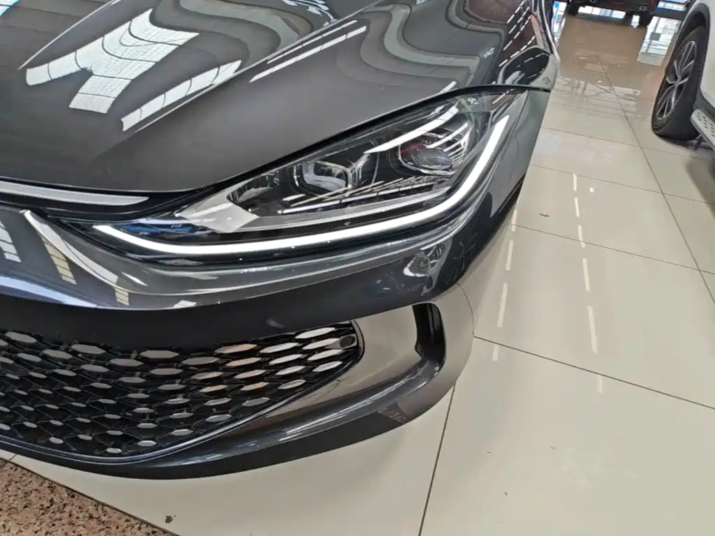 Volkswagen Lamando — миниатюра 24