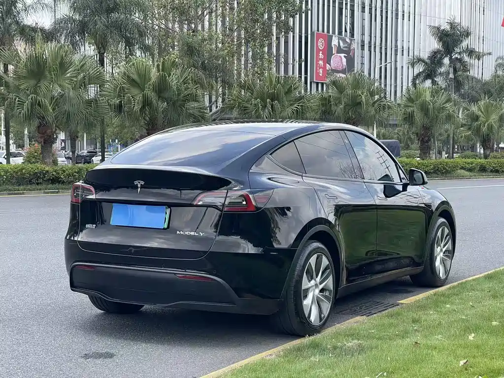 Tesla Model Y — миниатюра 6