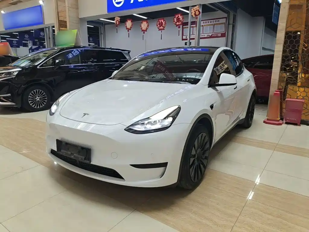 Tesla Model Y — миниатюра 2