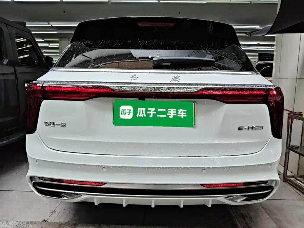 Hongqi Hongqi E-HS9 — миниатюра 6